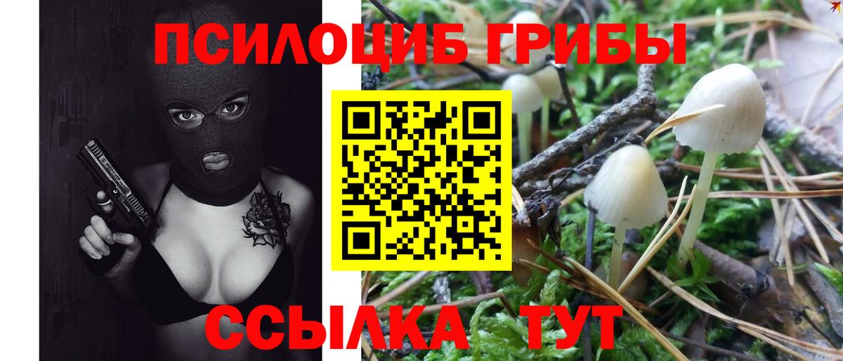 Норильск  Галлюциногенные грибы Magic Shrooms  Вход с VPN 